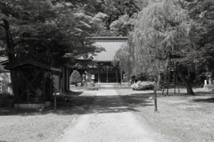 柳廼社(やなぎのやしろ)大野城登城口