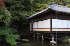 初秋のたつの②