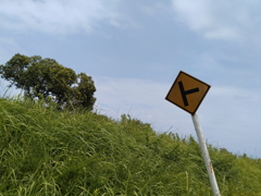 ト