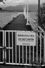 廃港