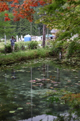 秋の訪れ