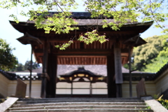 三井寺 唐院潅頂堂