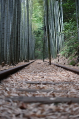 廃線跡２