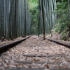 廃線跡２