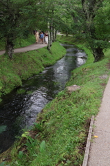 川辺の散策路