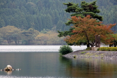 余呉湖の秋 余呉湖の秋