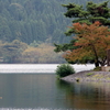 余呉湖の秋
