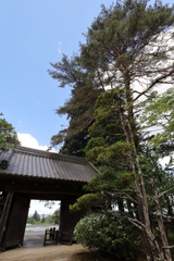 門
