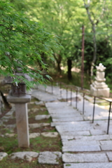 三井寺