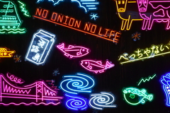NO ONION NO LIFE