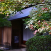 初秋のたつの①
