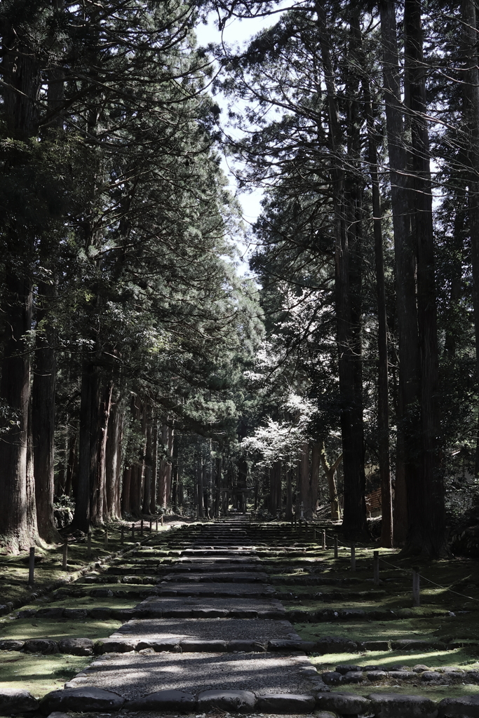 白山神社 参道