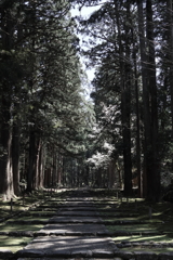 白山神社 参道