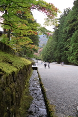 東照宮 参道
