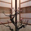 長浜盆梅展