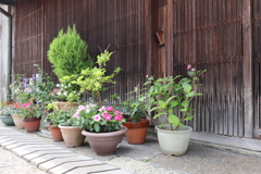 玄関先のユートピア