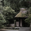 佇
