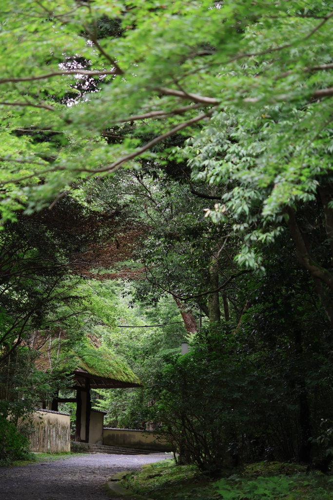 門