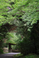 門