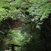 門