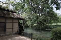 故郷の情景