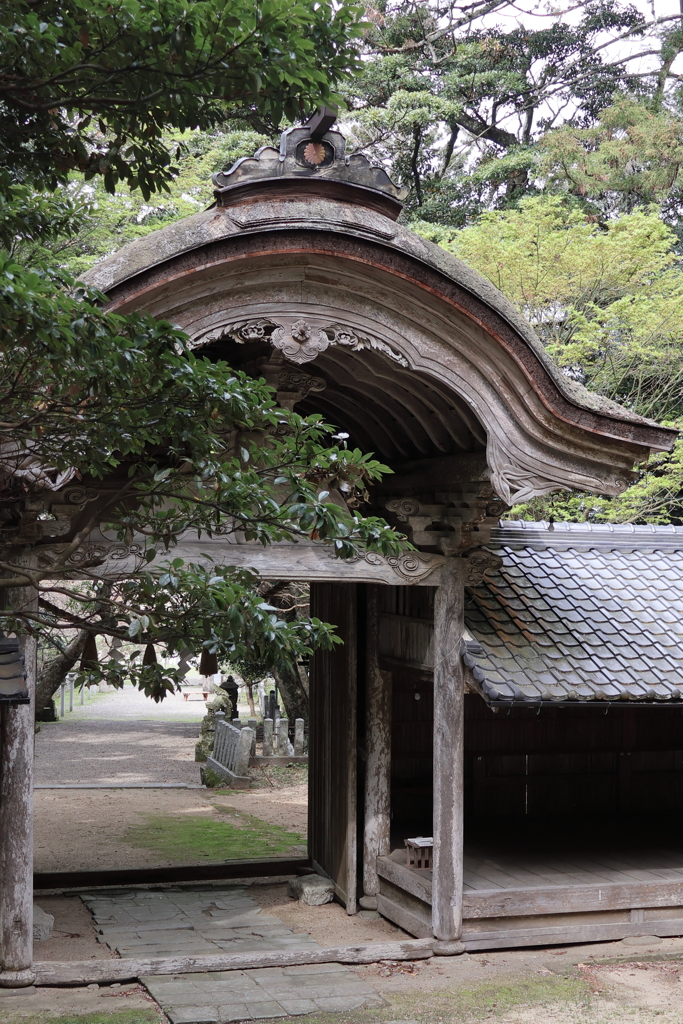 竹野神社 唐破風