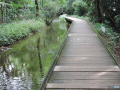 近くの大きい公園