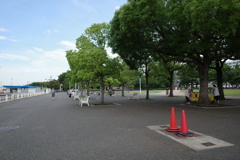 カラーコーン