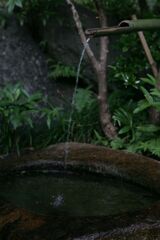 栃木県中央公園