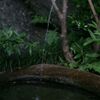 栃木県中央公園