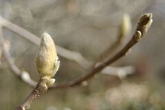 冬のわんぱく公園にて