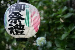 鹿沼市磯山神社 あじさい祭