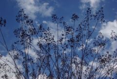 冬の空とサルズベリ