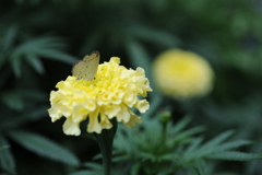 17年前の写真 No.4