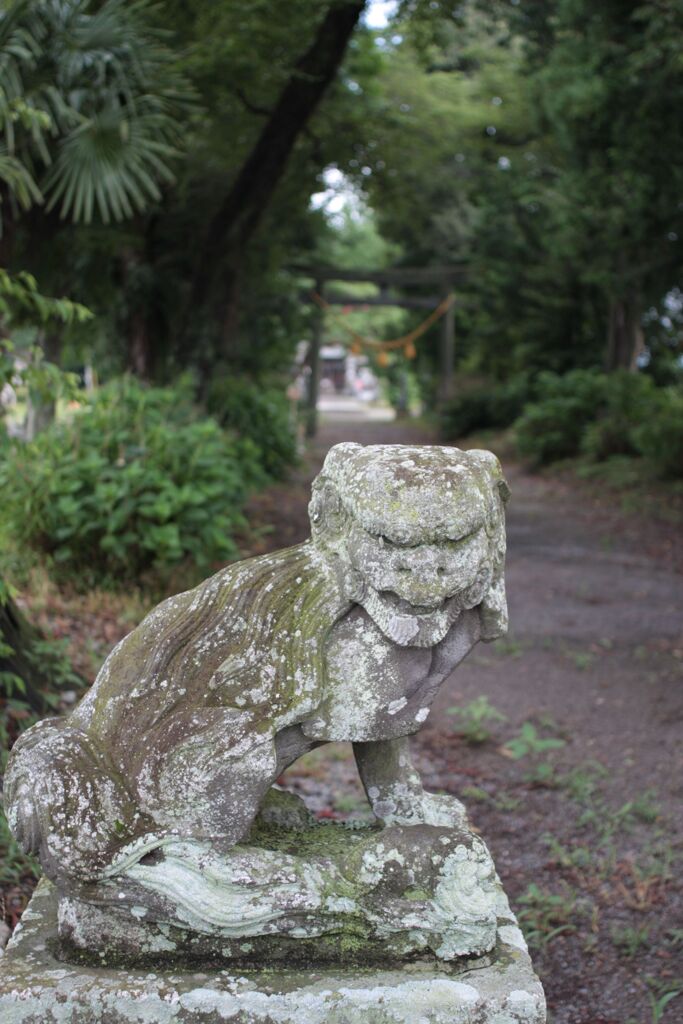こまいぬ