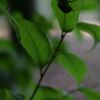 栃木県中央公園