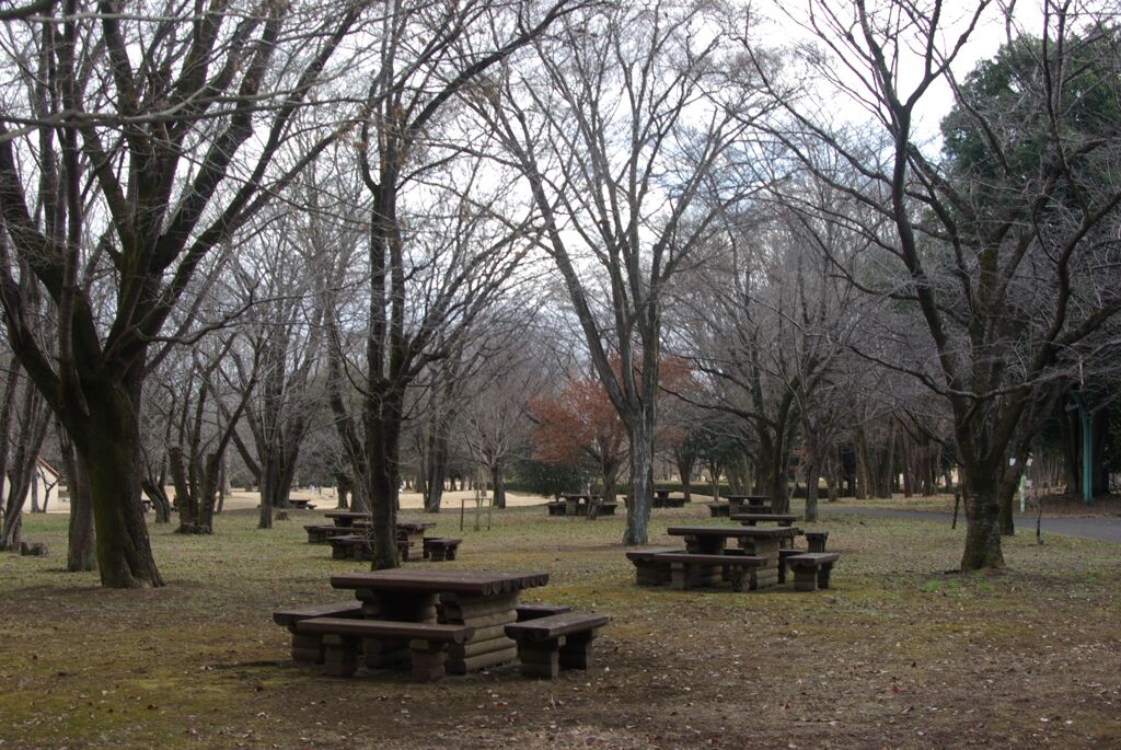 冬のわんぱく公園にて