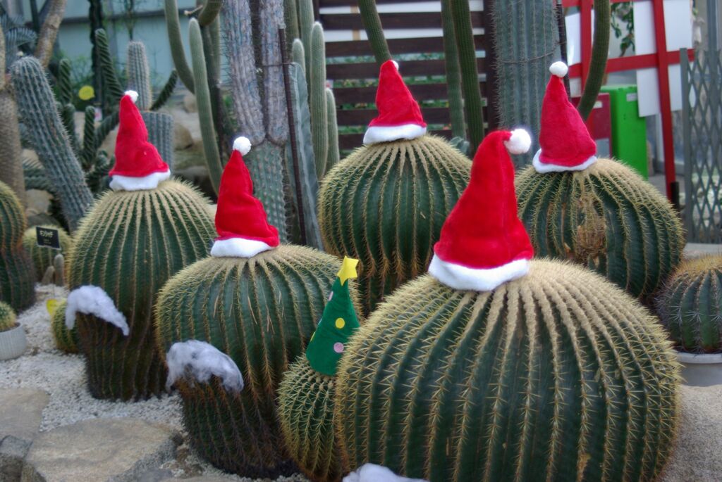 クリスマス仕様