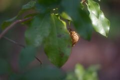冬の公園_夏の名残