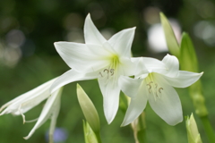 17年前の写真 No.2