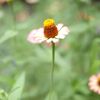 わんぱく公園No02