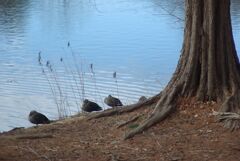 冬のわんぱく公園にて