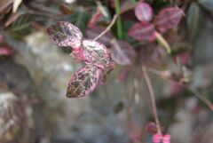 わんぱく公園にて