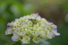 こっちみてる！