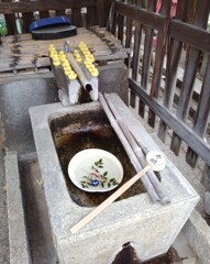 あひる隊整列