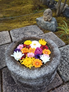 水鉢
