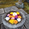 水鉢