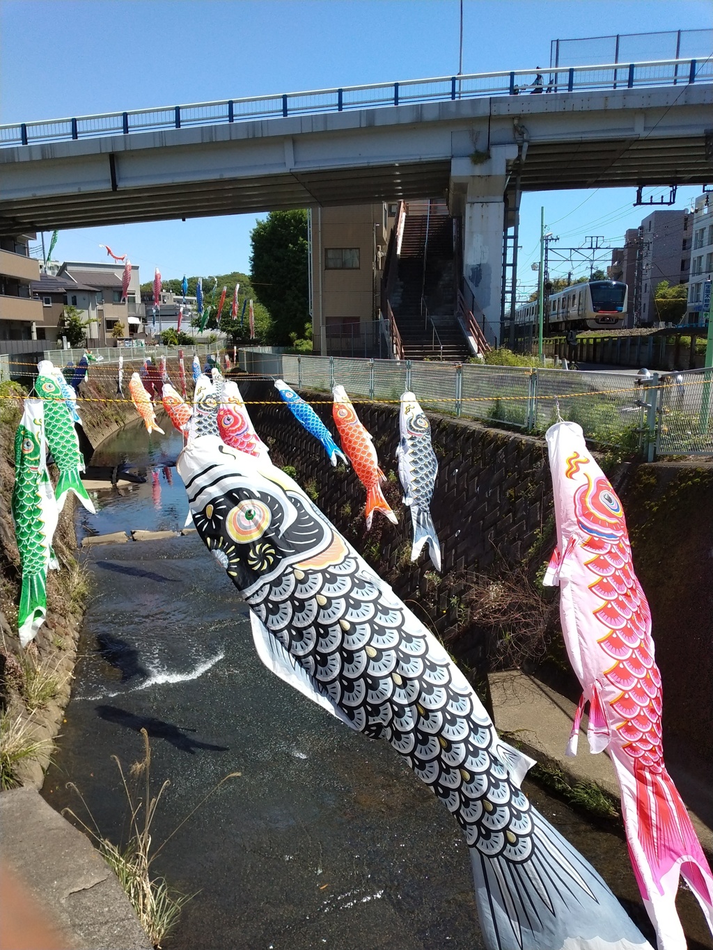 五反田川こいのぼり