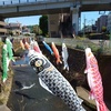 五反田川こいのぼり