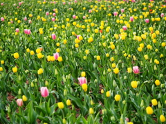 国営武蔵丘陵森林公園14